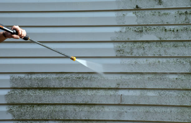 Best Roof Power Washing Services  in Ault, CO