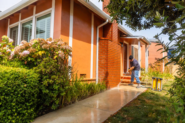 Best Affordable Pressure Washing  in Ault, CO